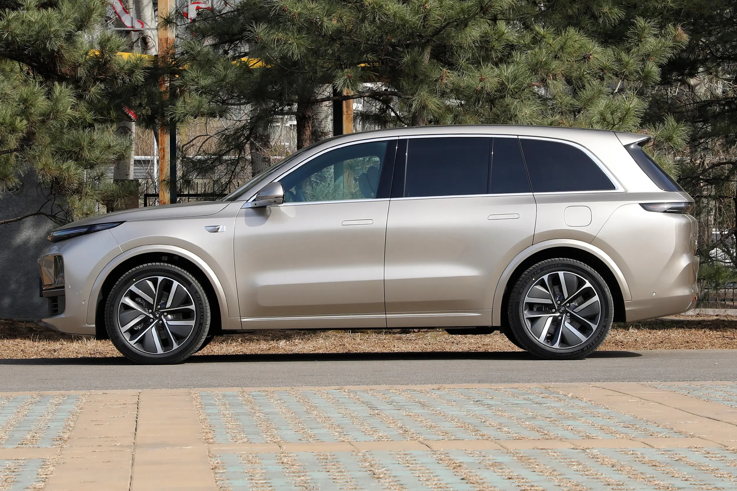 Li Auto-L8-GLODEN (6)