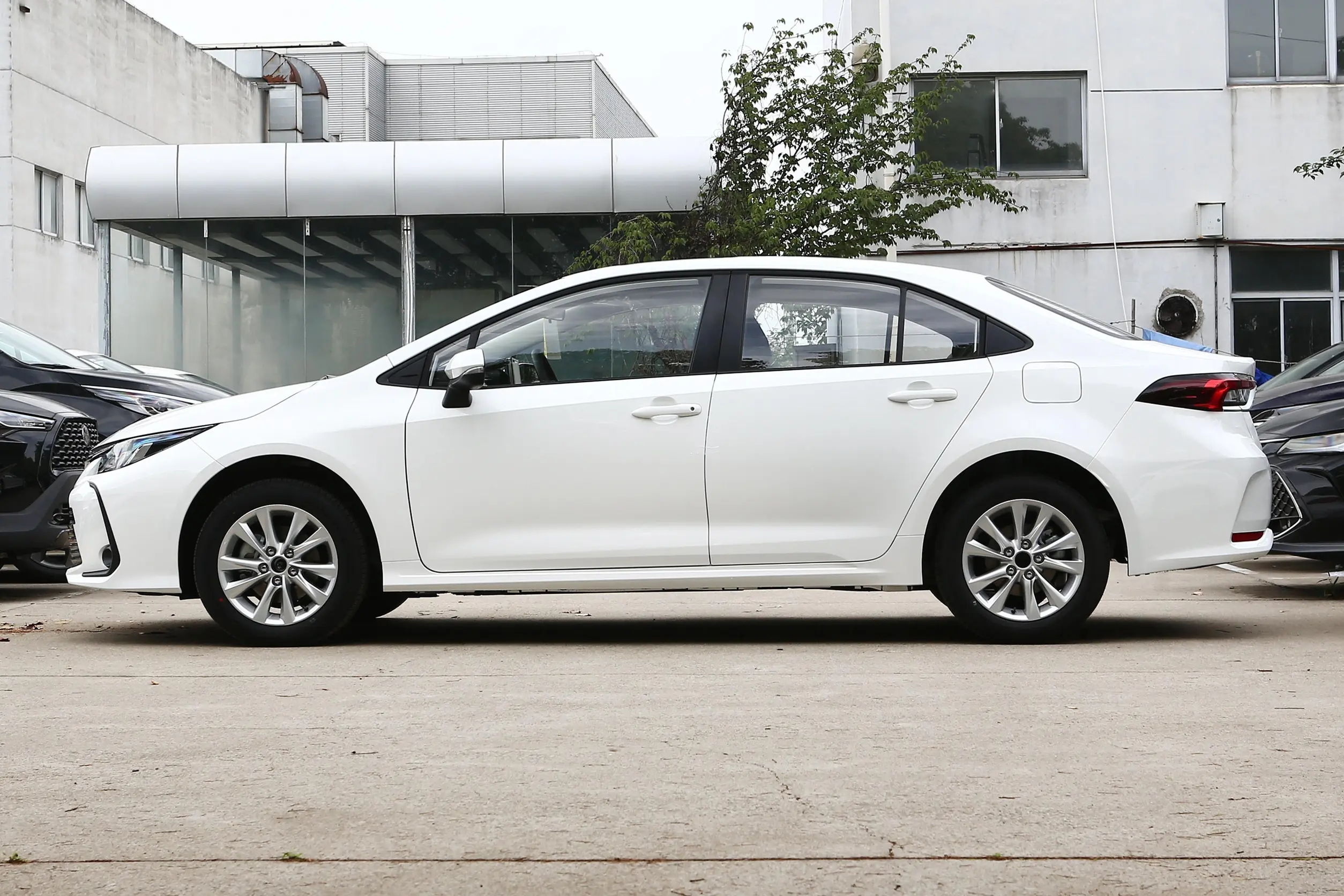 Toyota-COROLLA-WHITE (12)