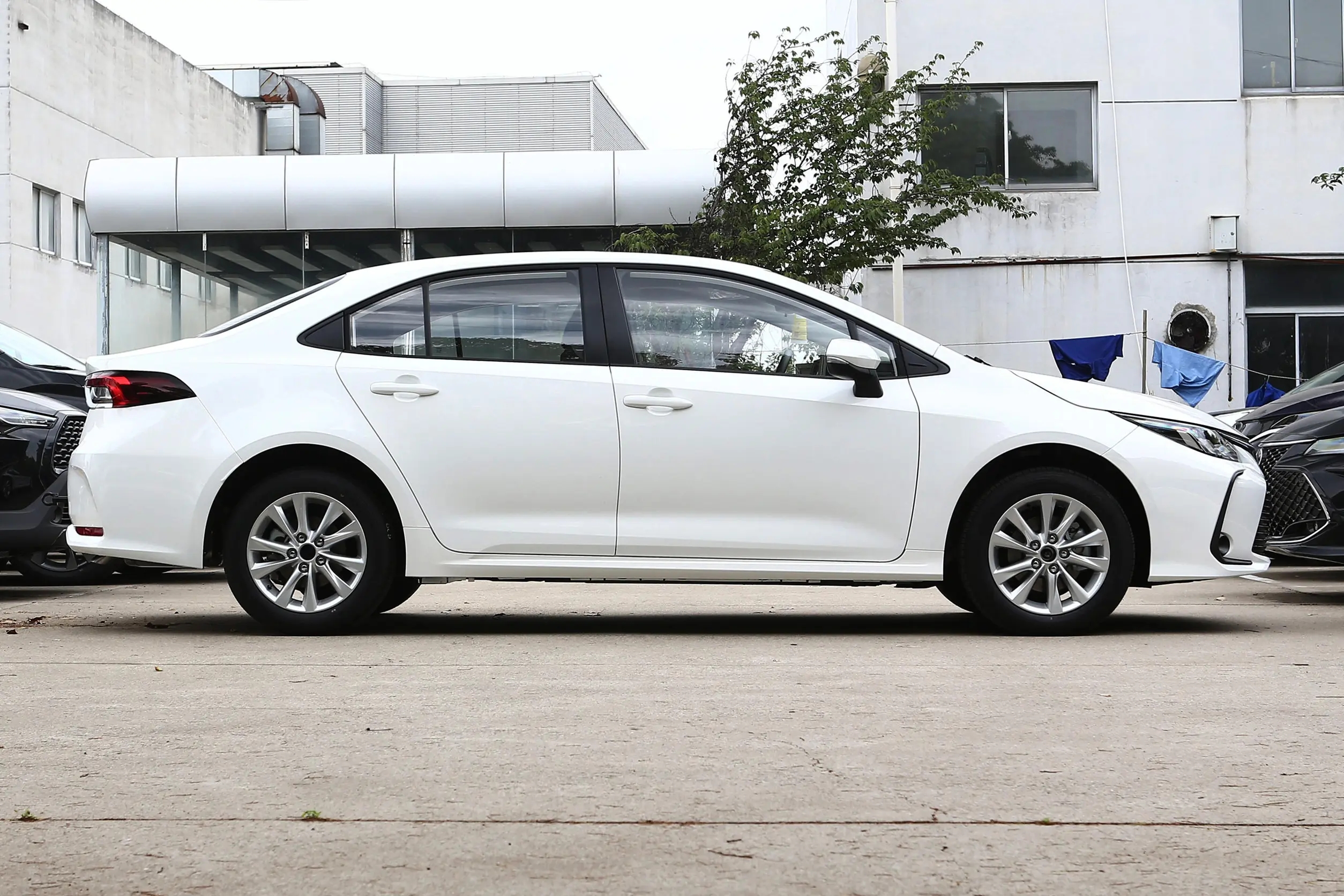 Toyota-COROLLA-WHITE (13)