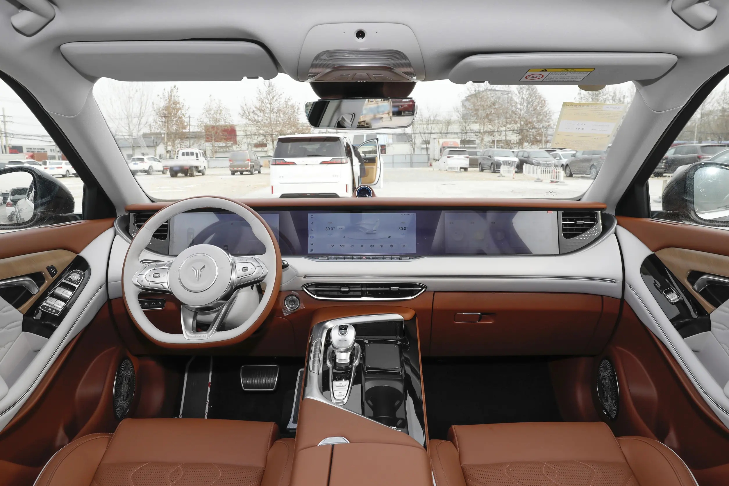 VOYAH-FREE-BLACK (9)